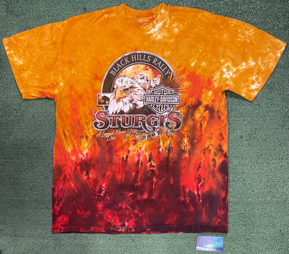 Vintage 2000s Harley Davidson black hills rally tee