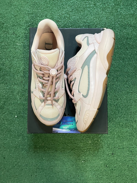 Dior B24 pink size 8.5men/10women(EU 41.5)