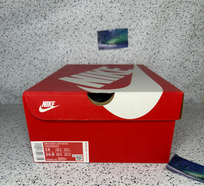 Nike Dunk Low Michigan State