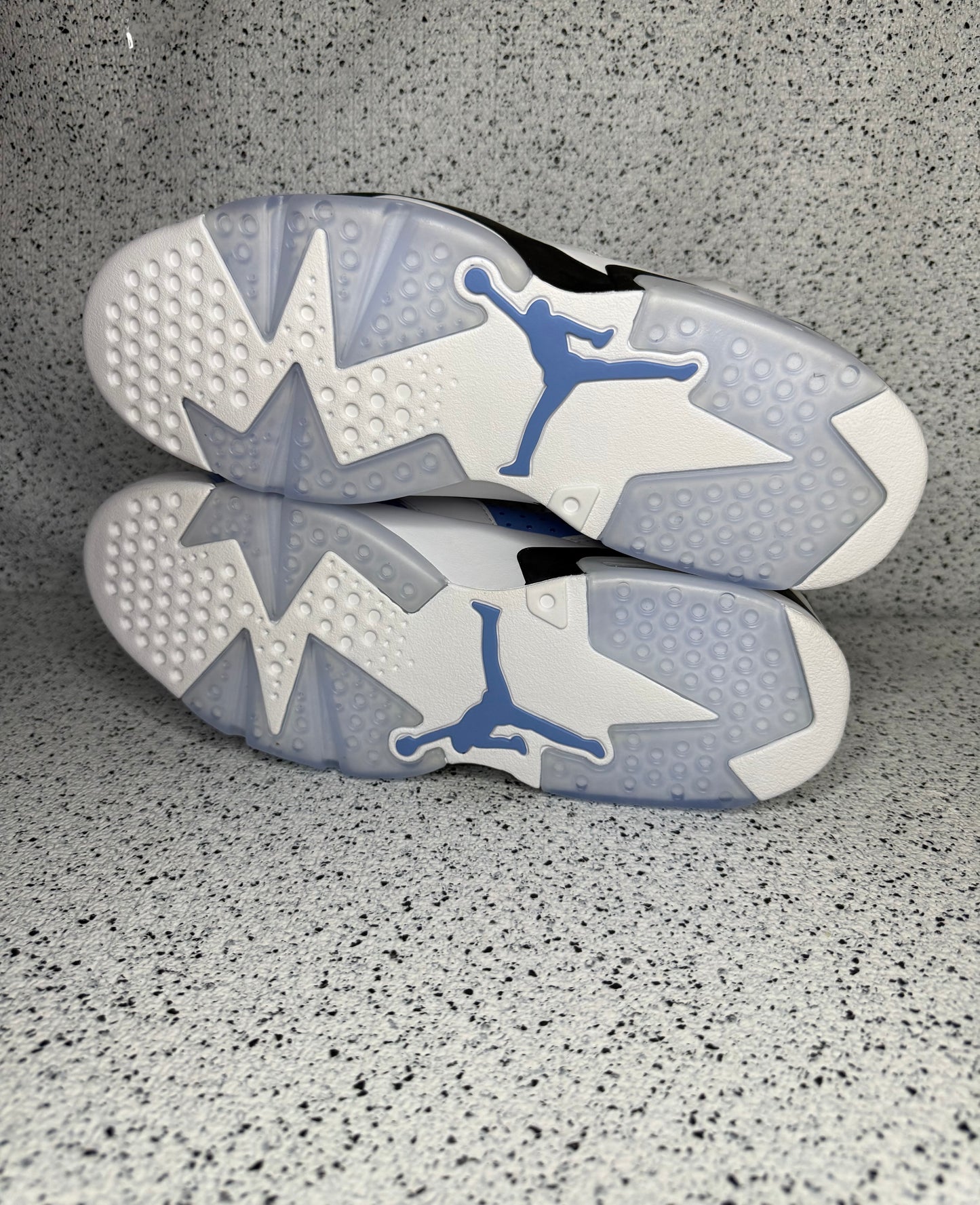 Jordan 6 UNC