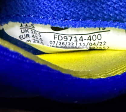 Nike Foamposite Doernbecher