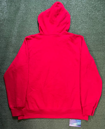 The North Face half dome logo hoodie