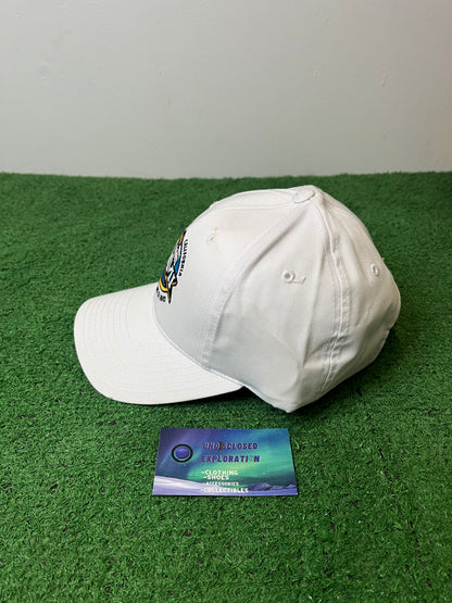 Vintage NFL SuperBowl 37 Hat