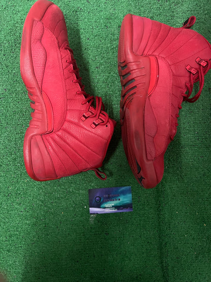 Jordan 12 gym red size 11men/12.5women