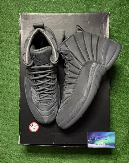 Jordan 12 PSNY