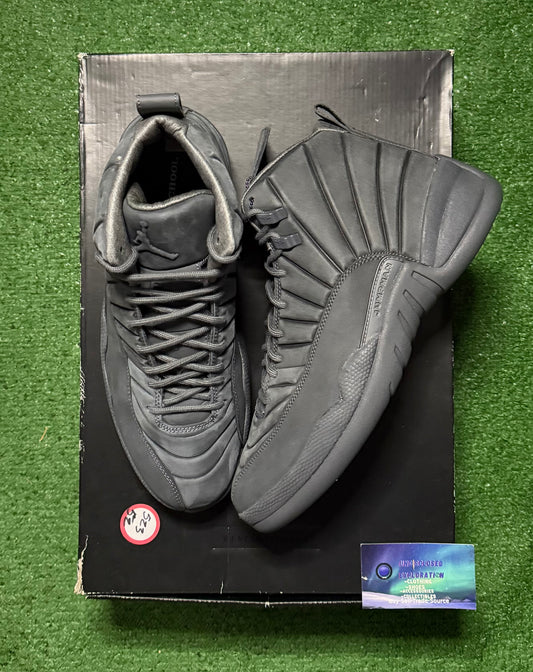 Jordan 12 PSNY