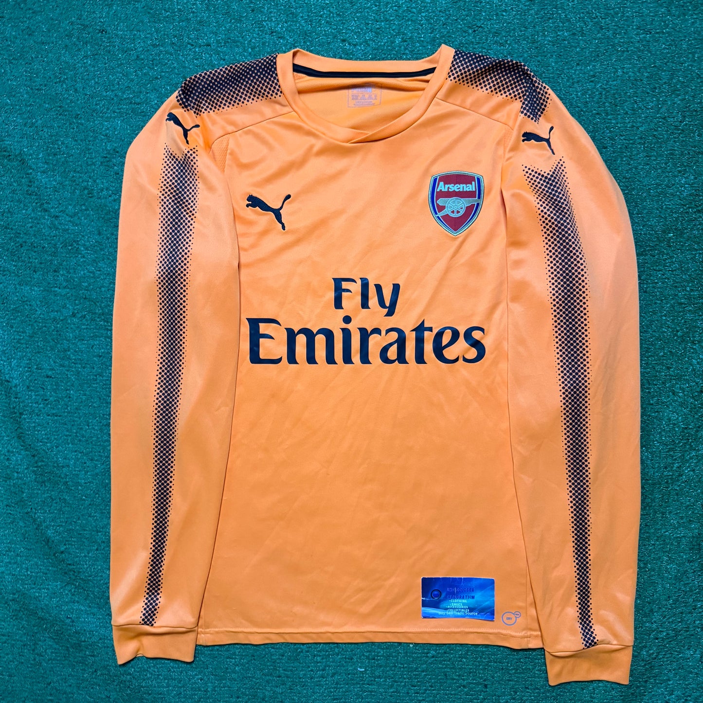 Puma Arsenal Goalkeeper Jersey