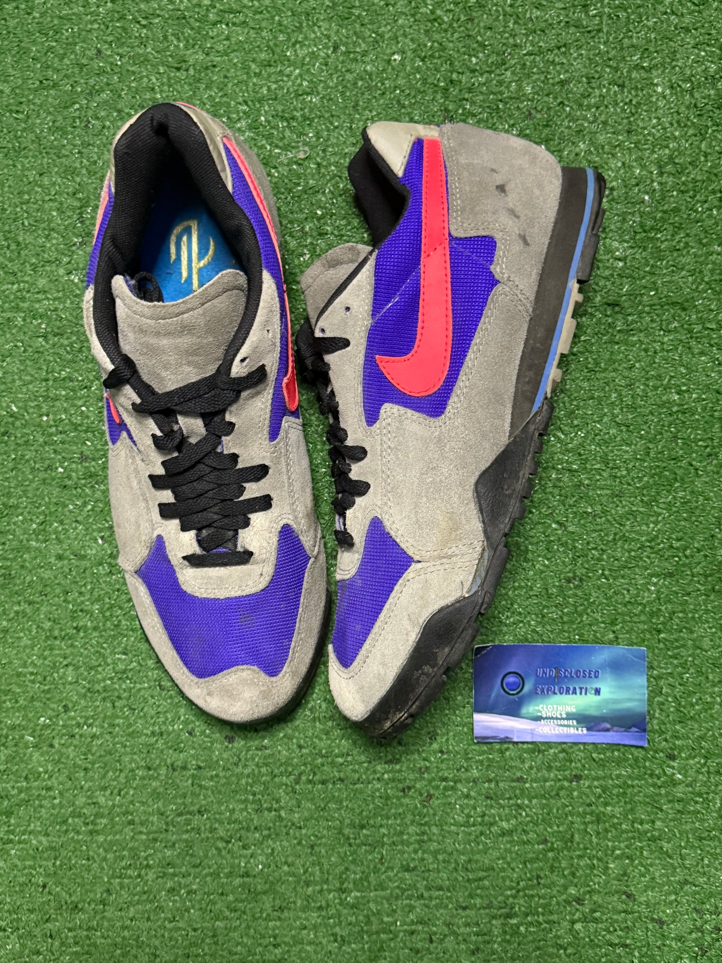 Vintage Nike Echelon Shoes 11 Men/12.5 Women “Preowned”