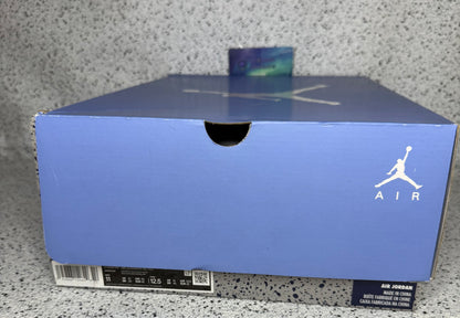 Jordan 6 UNC