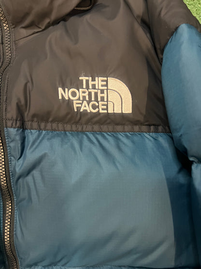 The North face blue Nuptse 700 jacket
