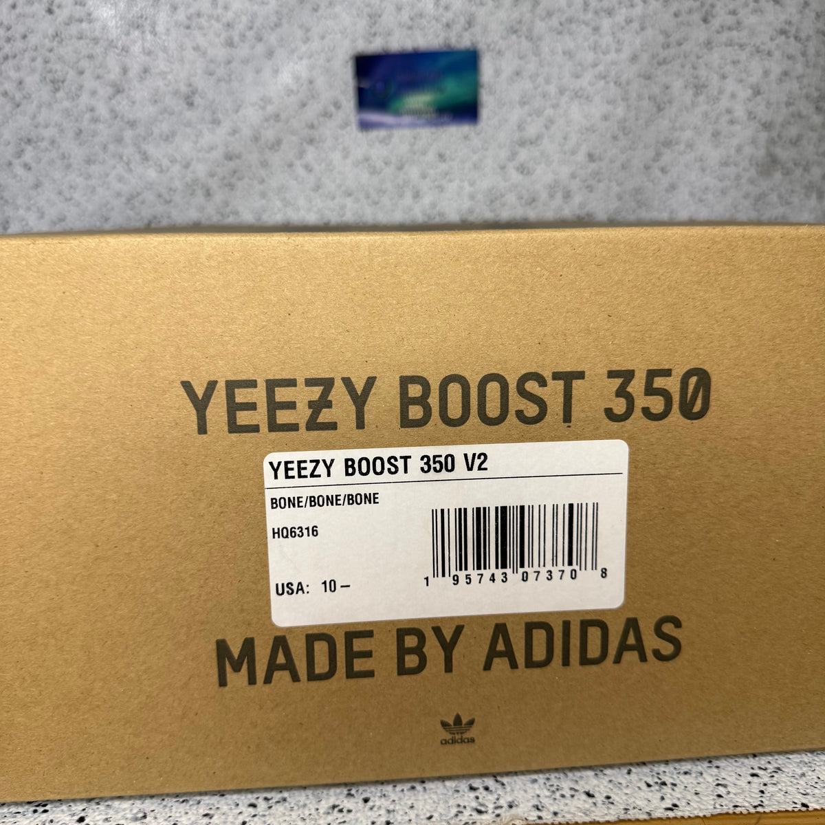 Adidas Yeezy 350 Bone