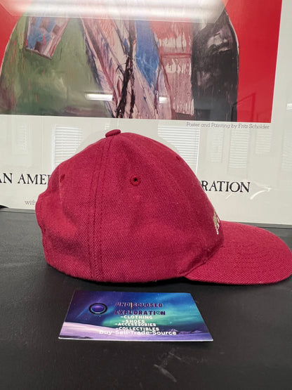Vintage 2000s San Francisco 49ers hat