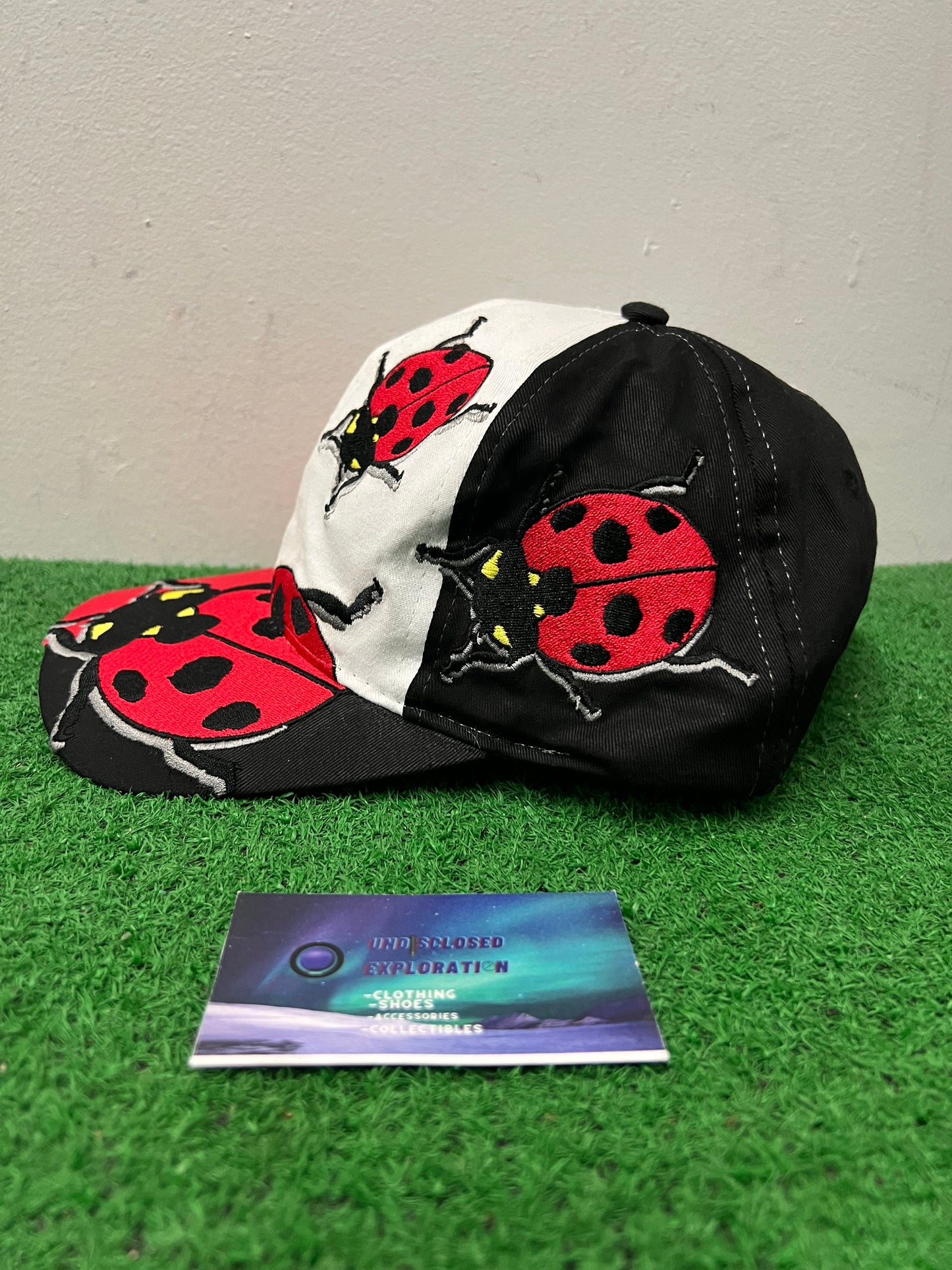 Vintage 1990s Lady Bug Embroidered hat