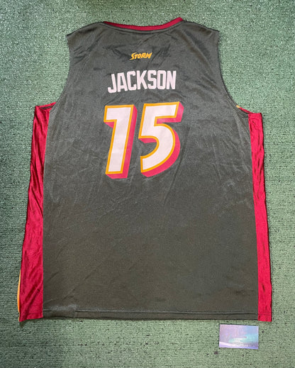 vintage Reebok WNBA Seattle Storm Lauren Jackson #15 jersey