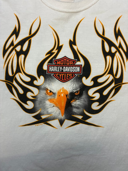 Harley bald  eagle flame longsleeve