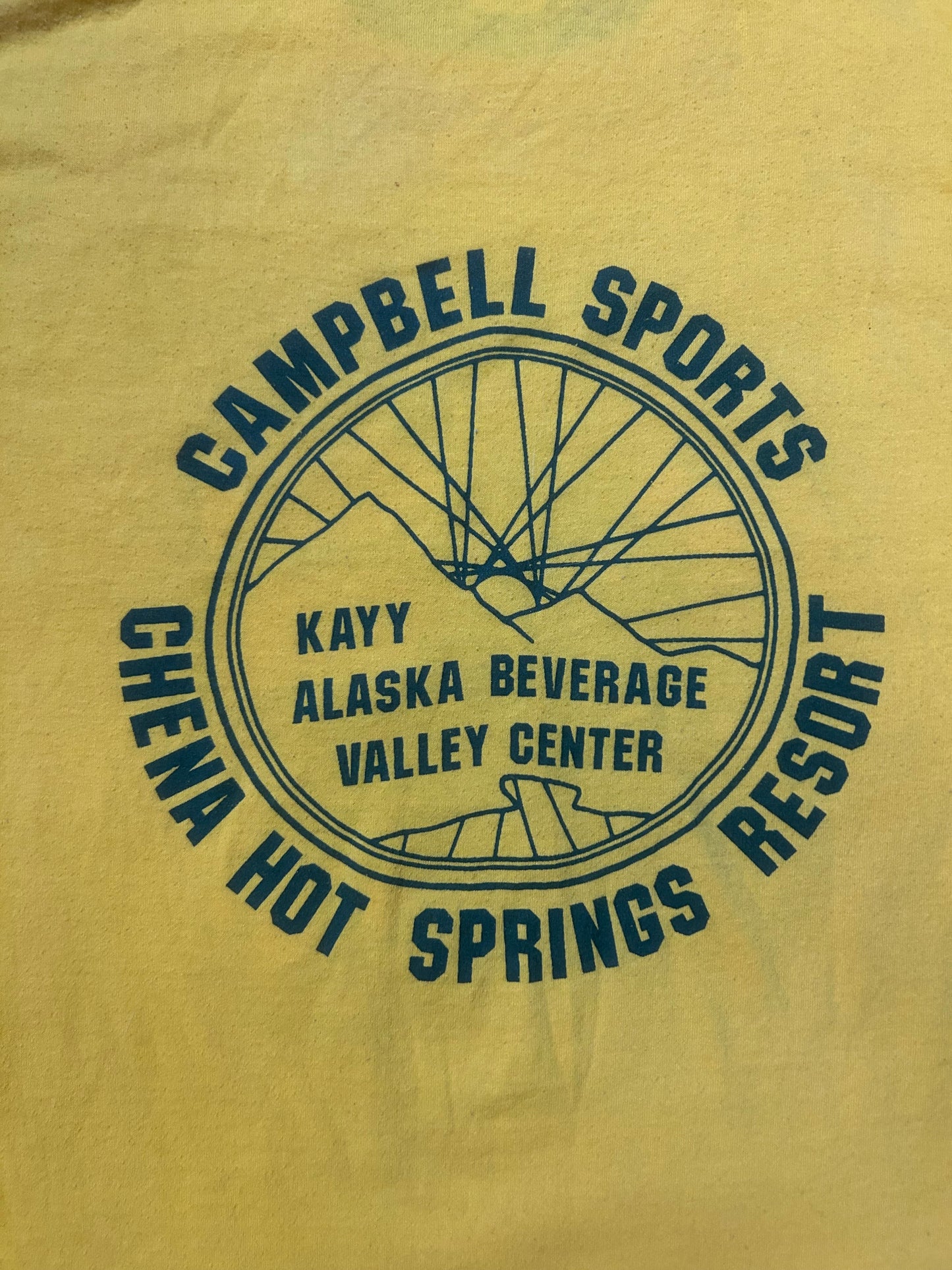 Vintage 1990s Fairbanks Alaska bike classic turtle tee